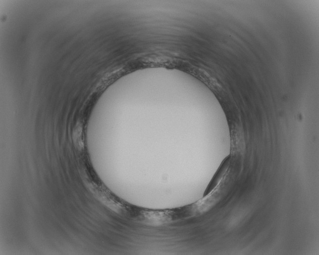 X0000081420187200702021637