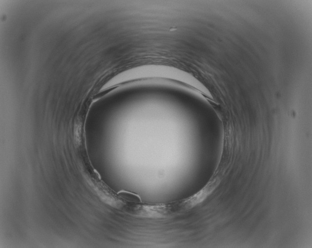 X0000081420188200702021637