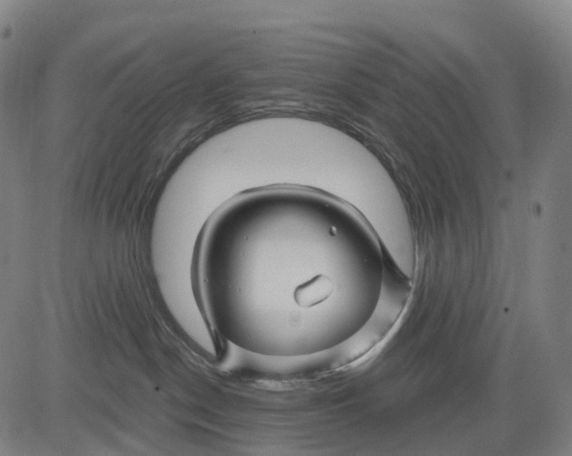 X0000081420190200702021637