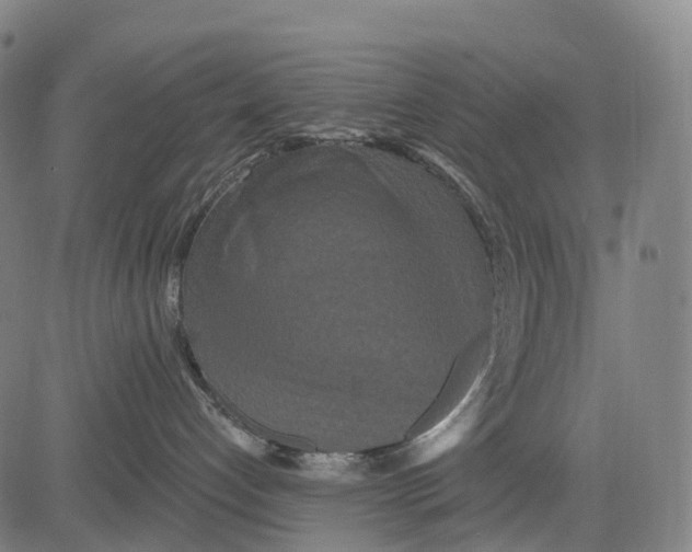 X0000081420192200702021637