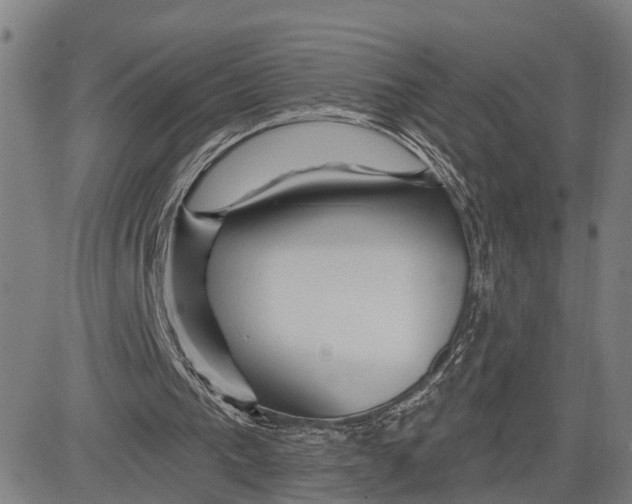 X0000081420193200702021636