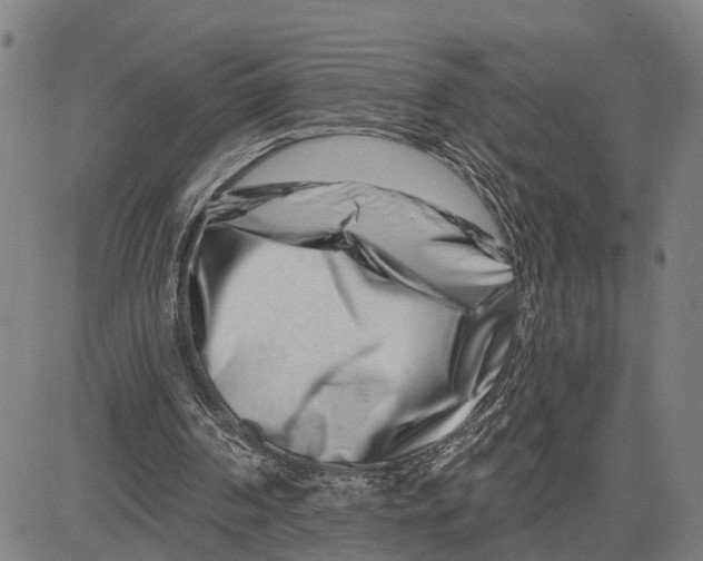 X0000081420194200702021636