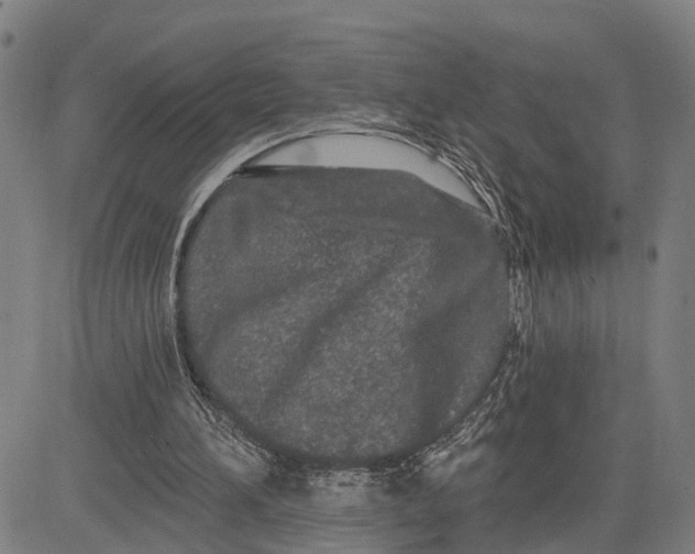 X0000081420196200702021636