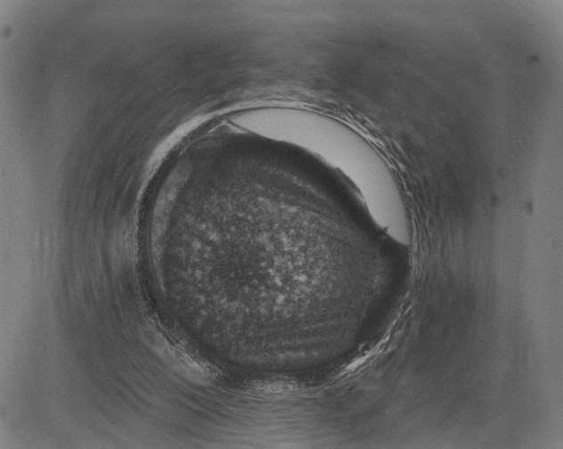 X0000081420200200702021636