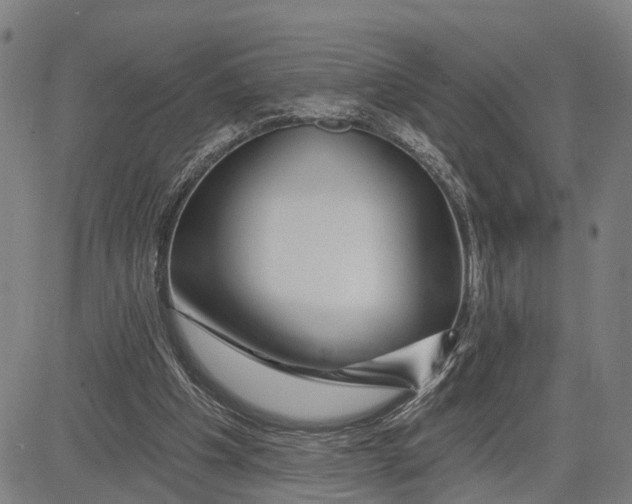 X0000081420201200702021636