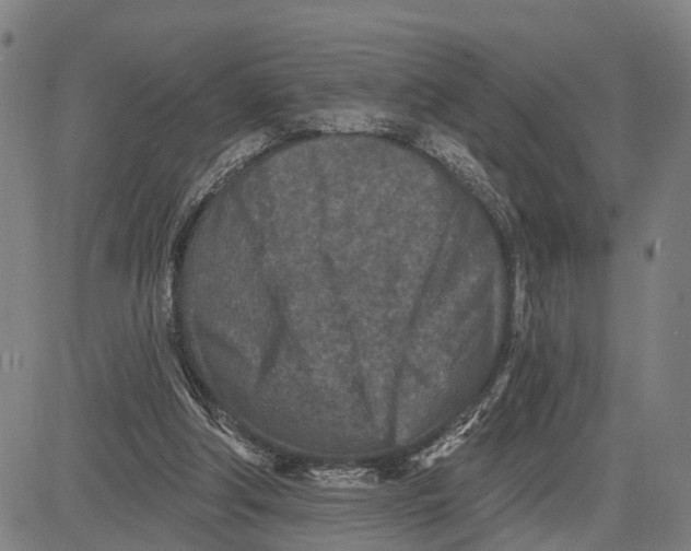 X0000081420202200702021636