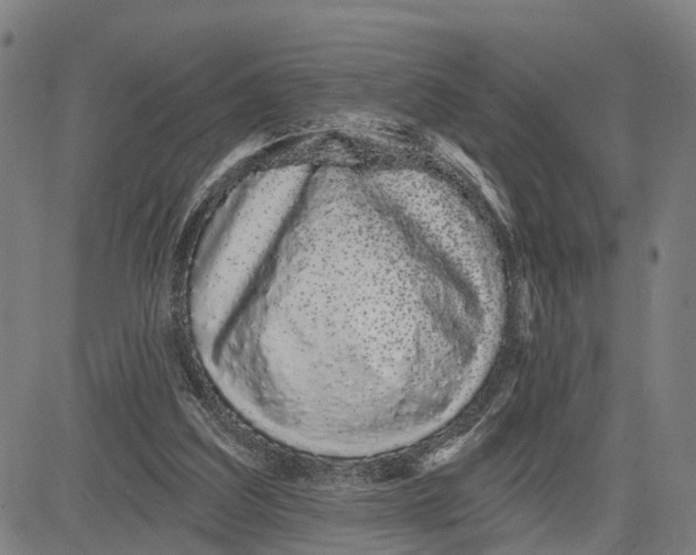 X0000081420203200702021636