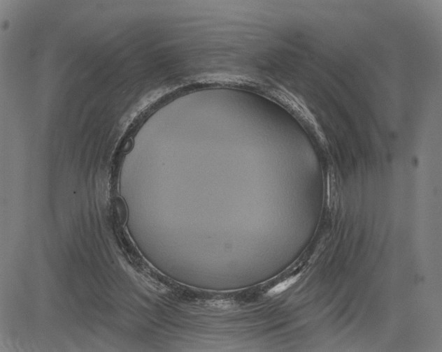 X0000081420204200702021636