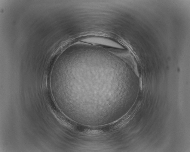 X0000081420205200702021636