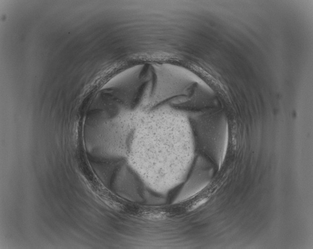 X0000081420206200702021636