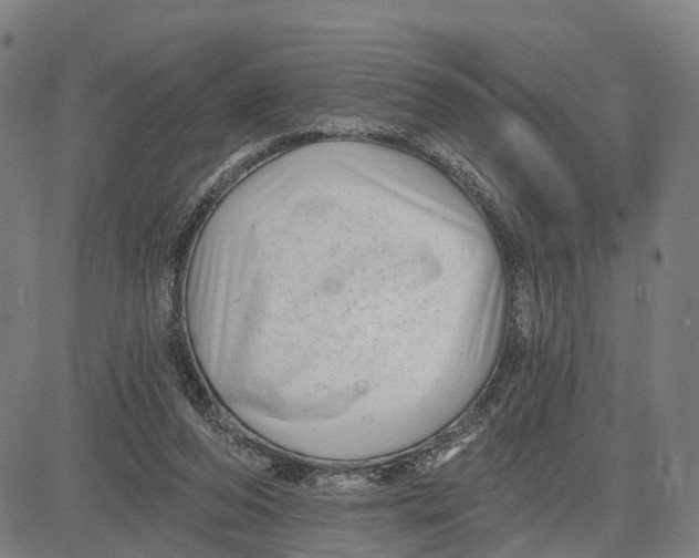 X0000081420208200702021636