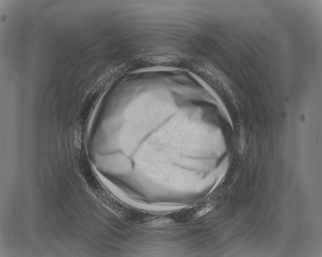 X0000081420210200702021636