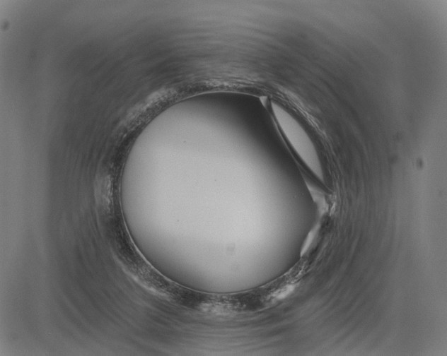 X0000081420211200702021636