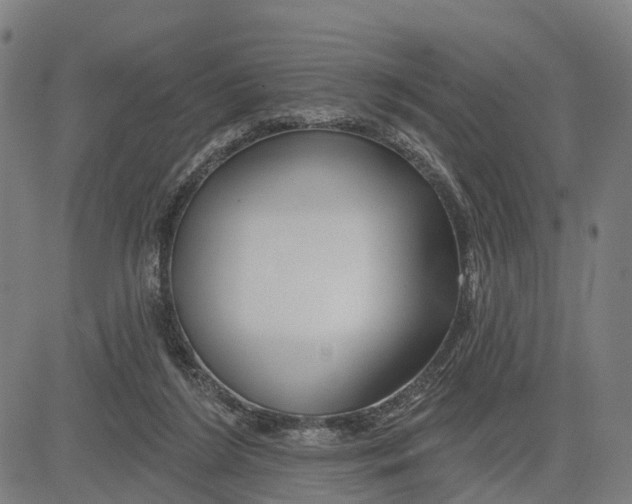 X0000081420212200702021636