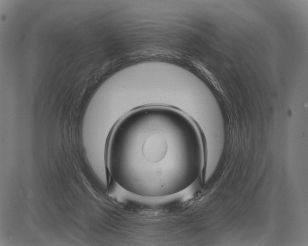 X0000081420213200702021635