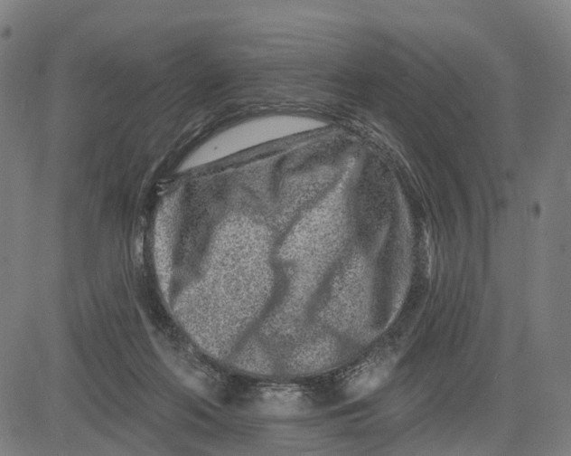 X0000081420214200702021635