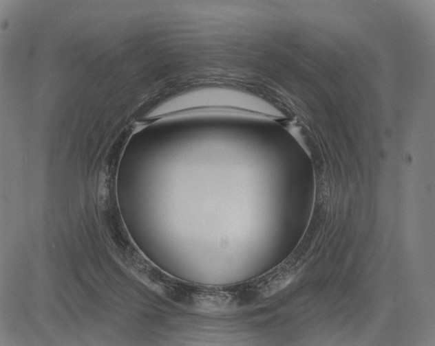 X0000081420215200702021635