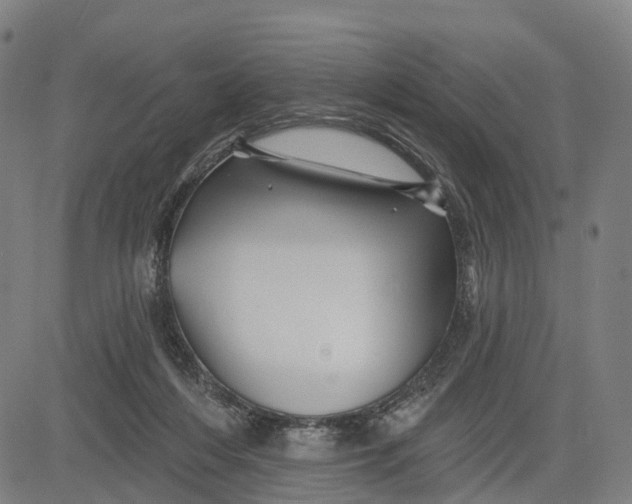 X0000081420216200702021635