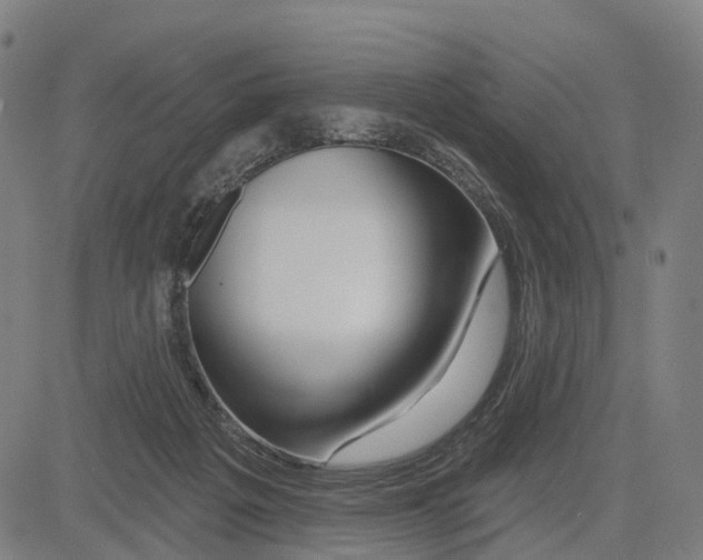 X0000081420217200702021635