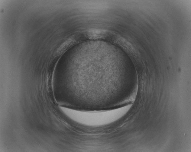 X0000081420219200702021635