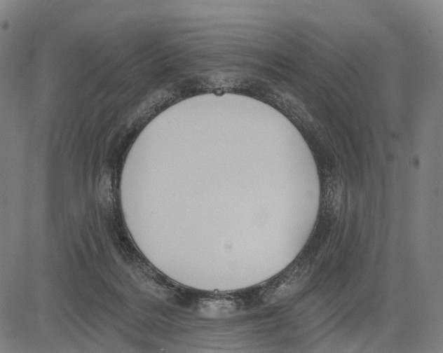 X0000081420220200702021635