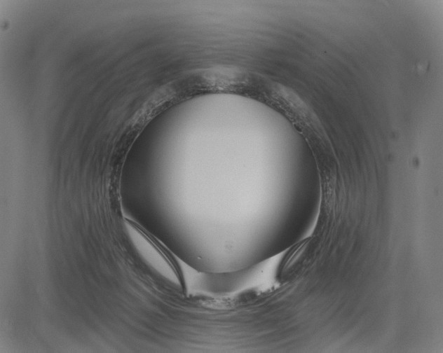 X0000081420221200702021635