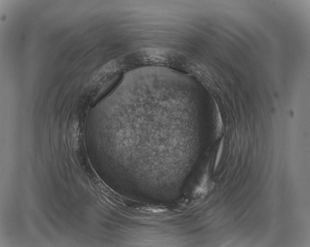 X0000081420223200702021635