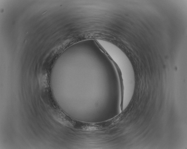 X0000081420224200702021635