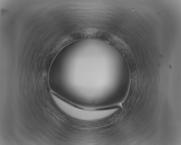 X0000081420225200702021635