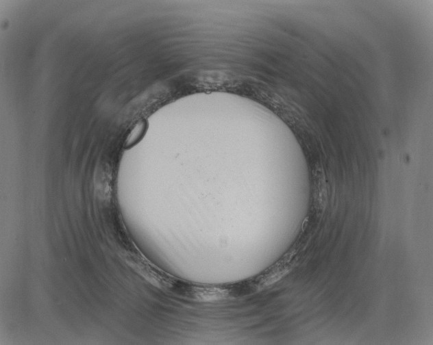 X0000081420226200702021635