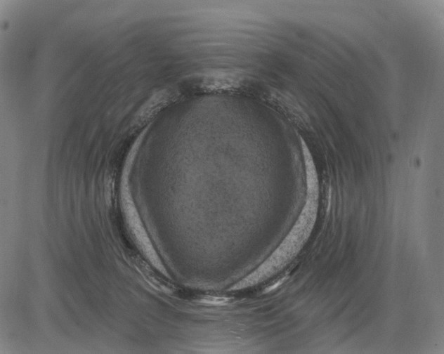 X0000081420227200702021635