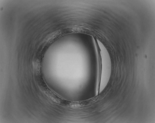 X0000081420228200702021635