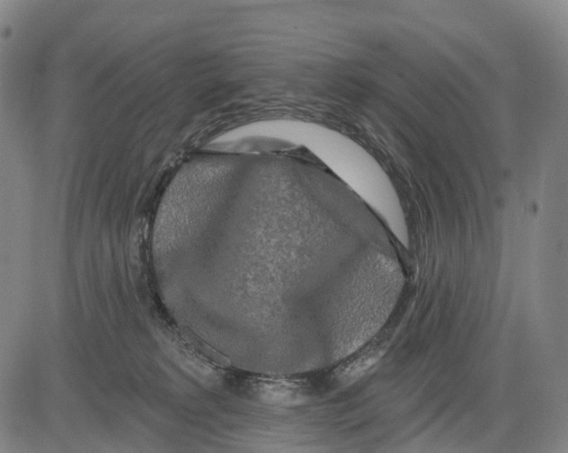 X0000081420229200702021635