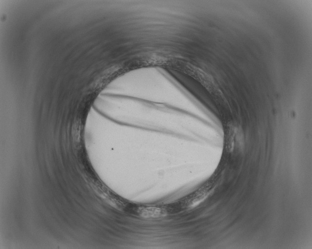 X0000081420230200702021635