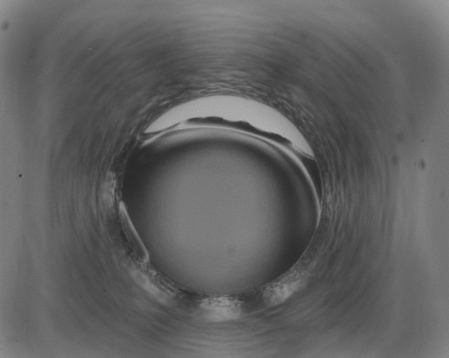 X0000081420231200702021635