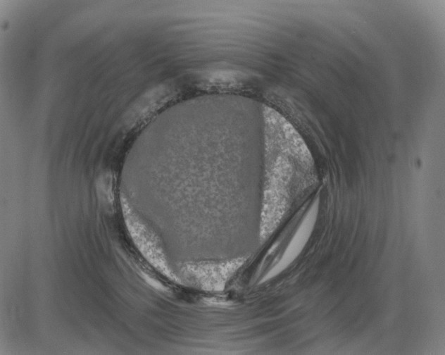 X0000081420232200702021635