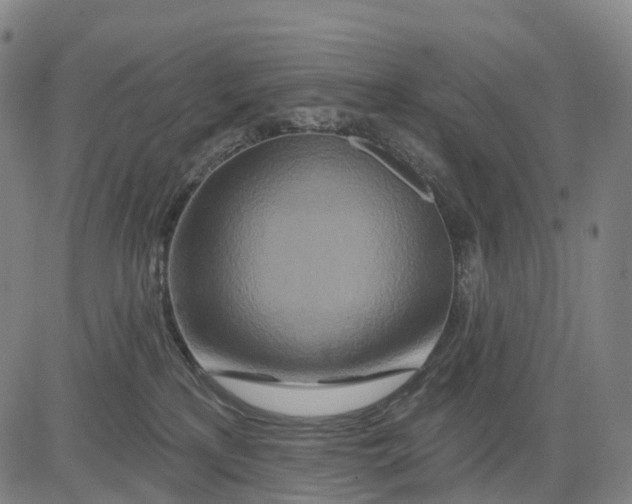 X0000081420233200702021635