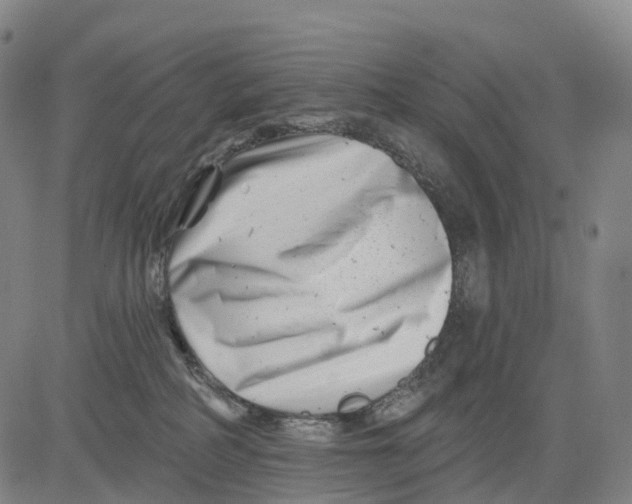 X0000081420234200702021635