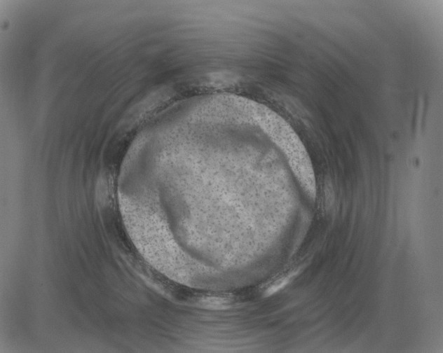 X0000081420236200702021635