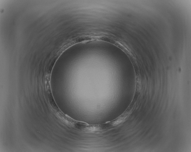 X0000081420237200702021635