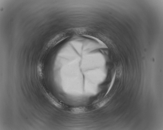 X0000081420238200702021635