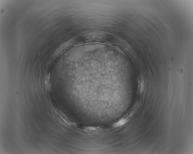 X0000081420239200702021635