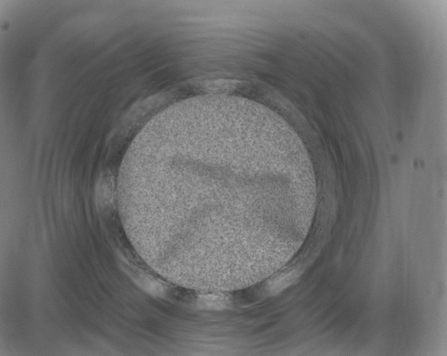 X0000081420240200702021635