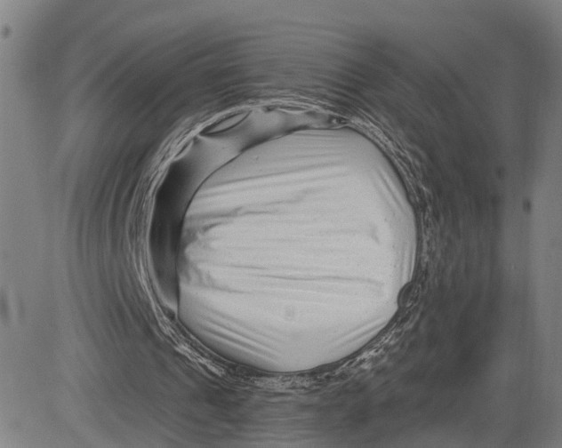 X0000081420241200702021634