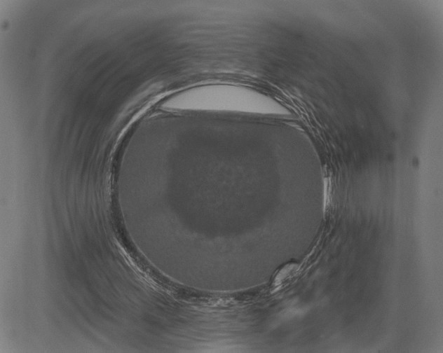 X0000081420243200702021634