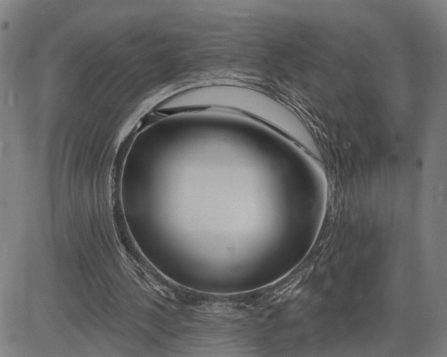 X0000081420244200702021634