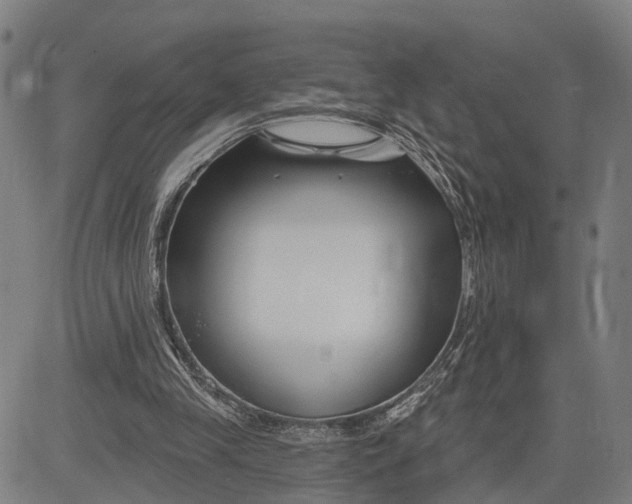 X0000081420245200702021634