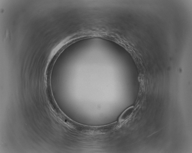 X0000081420246200702021634