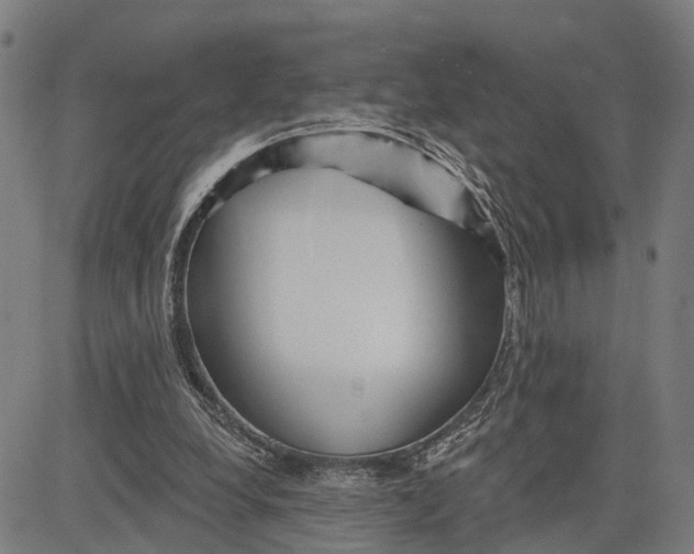 X0000081420248200702021634