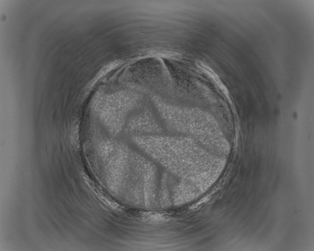 X0000081420249200702021634